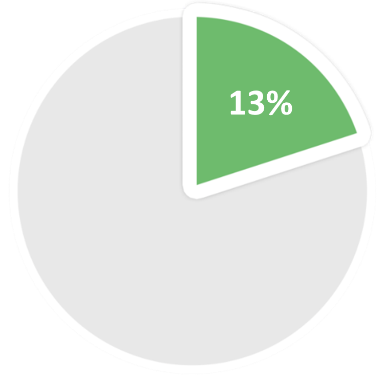 A pie chart showing 13%