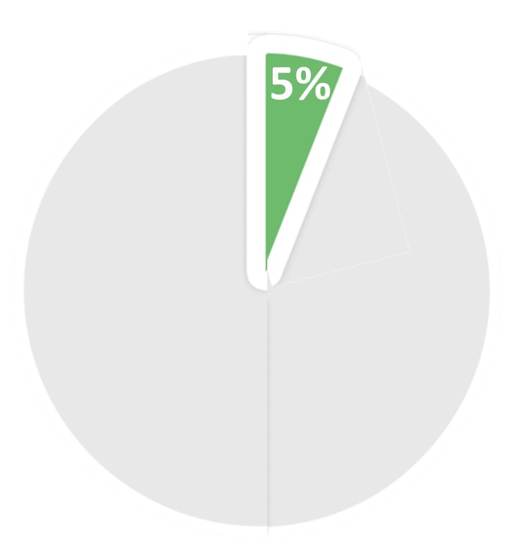 Pie chart showing 5%